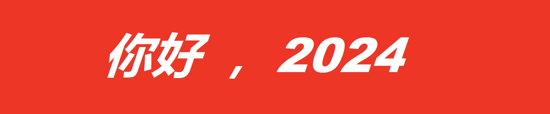 你好，2024